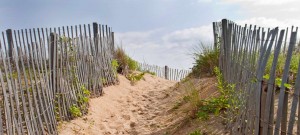 Outer Banks Beach Path - Lined with wooden beach fencing.
